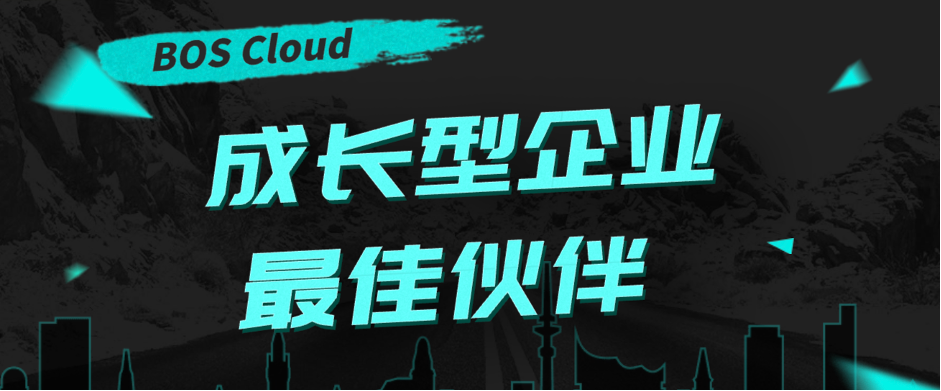 BOS Cloudح ERP+POS һ��ʵ��װ��