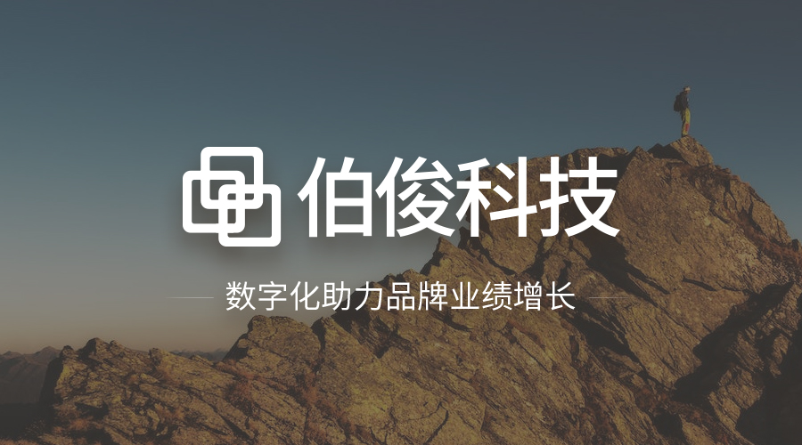 GOPAYǮ���ٷ���վERP��ά����������רҵ��ά��ģʽ